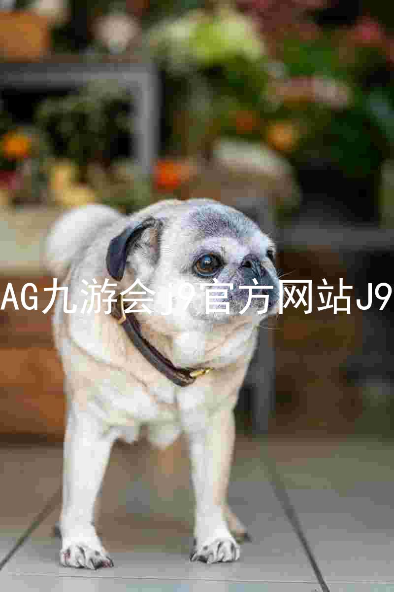 AG九游会j9官方网站J9