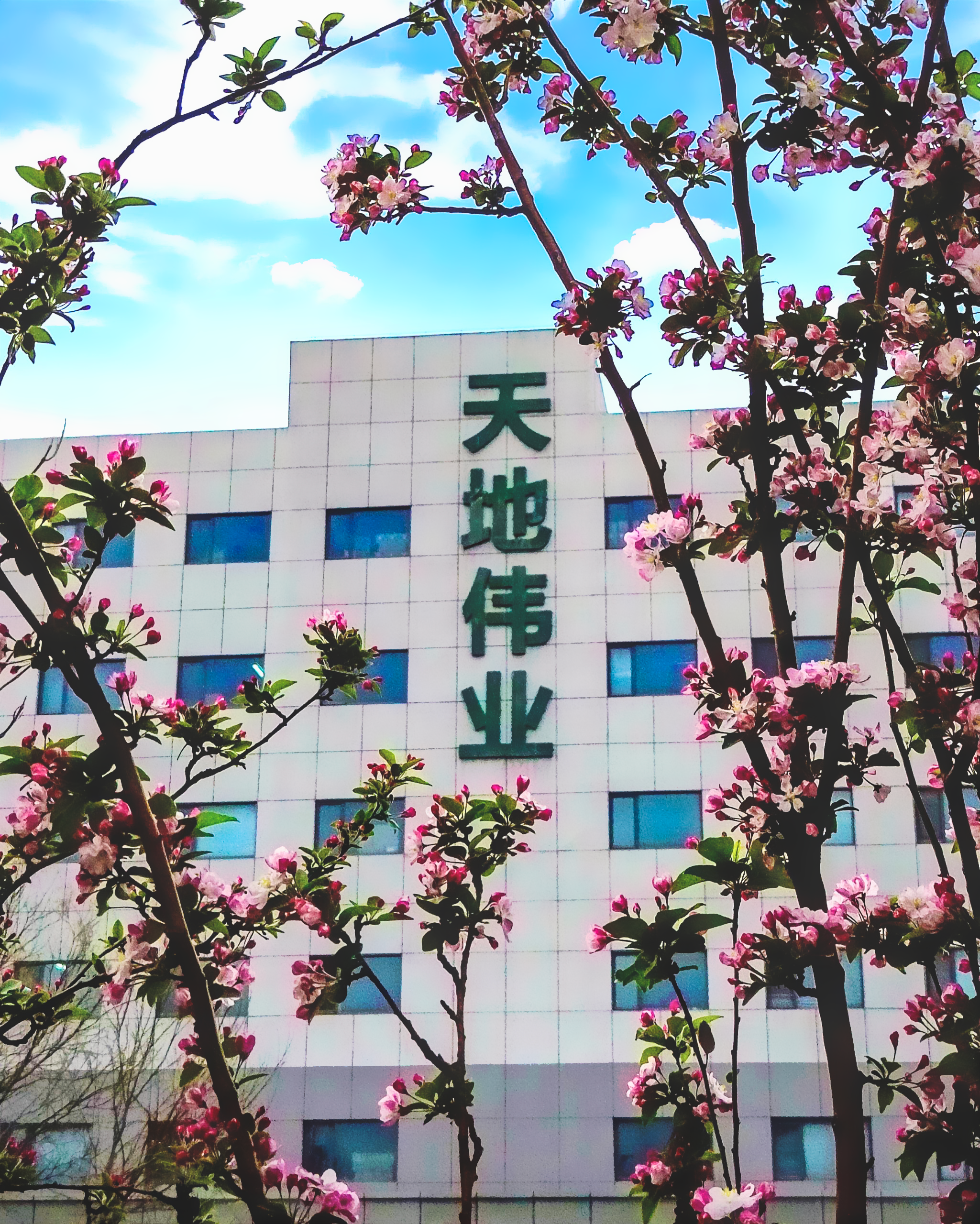 lm体育(中国)官方网站-登录入口