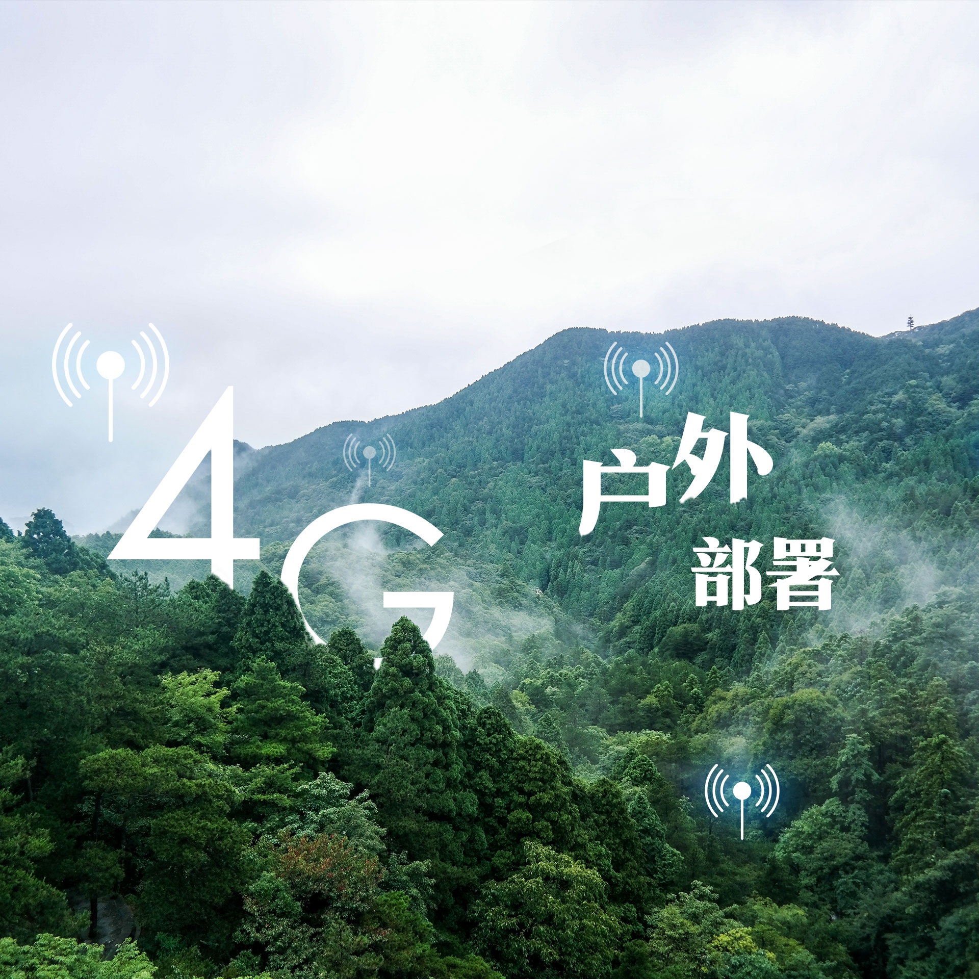 lm体育(中国)官方网站-登录入口